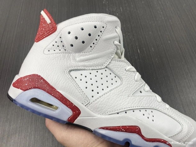 Rep Retro 6 Hare Jordan CT8529-162 0629